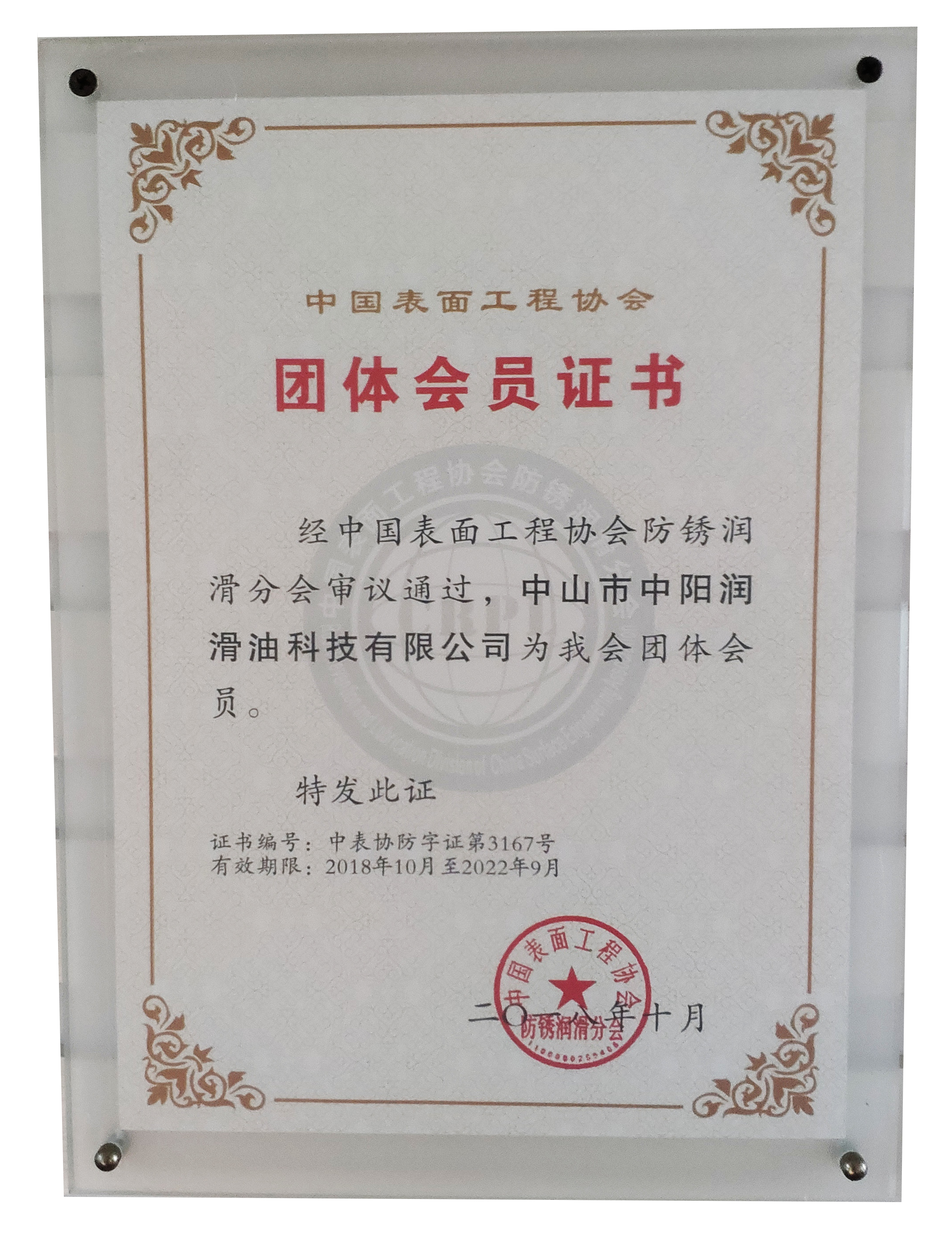 中国表面工程协会防锈润滑分会——团体会员证